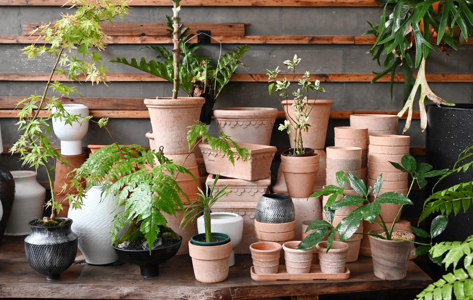 About SundayPot